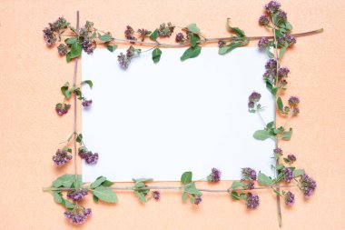 Pembe bir arka plan üzerine kekik bitkilerin dekoratif çerçeve.