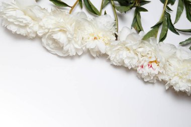 Beyaz peonies kenarlığını çiçek.