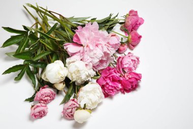 Beyaz bir arka plan üzerinde pembe peonies yalan bir buket.