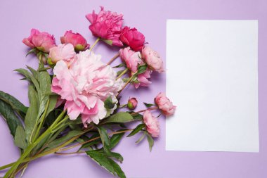 Bir buket pembe peonies ve bir beyaz kağıt leylak bir arka plan üzerinde yatıyor.