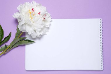 Bir beyaz şakayık ve bir kağıt parçası leylak bir arka plan üzerinde yalan.