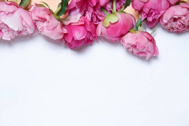 Pembe peonies kağıt bir sayfada bir sıra olarak yalan.