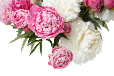 Beyaz ve pembe peonies izole buket.