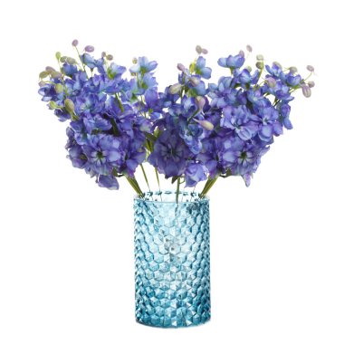Bir buket bir vazoda beyaz arka plan üzerinde izole mavi kokulu bezelye.