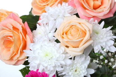 Güller ve Beyaz Krizantem, çiçek arka plan buket.