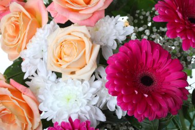 Güller, çiçek arka plan beyaz kasımpatı ve pembe gerbera buketi.