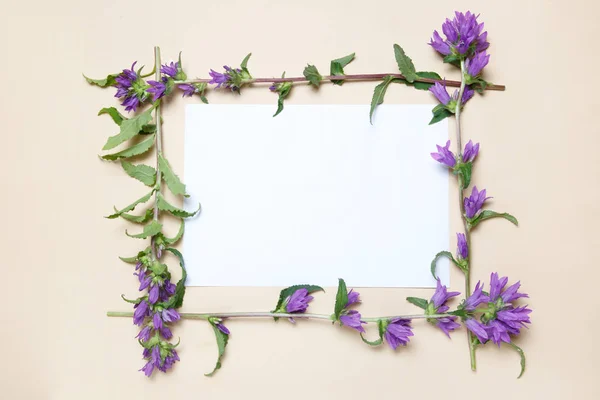 Bloem Badrand Van Klokken Een Beige Achtergrond — Stockfoto