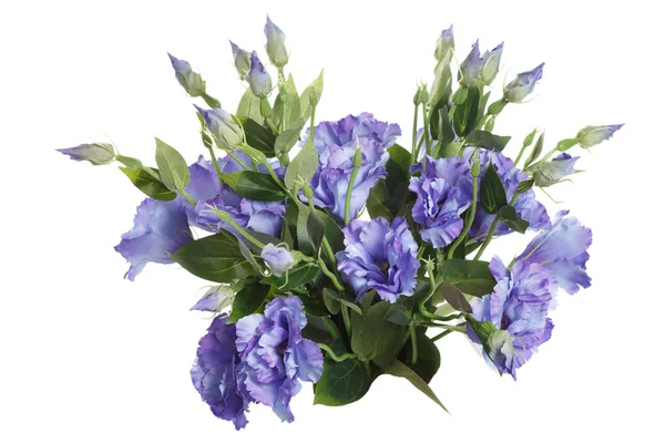 Kytice Modré Lisianthus Izolovaných Bílém Pozadí — Stock fotografie