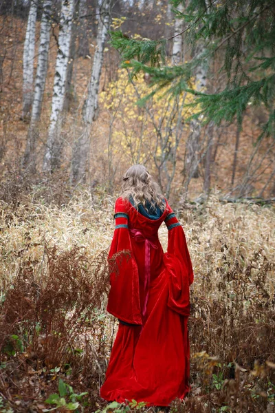 Νεαρή Γυναίκα Στο Μεσαιωνικό Φόρεμα Στο Φθινοπωρινό Δάσος — Φωτογραφία Αρχείου