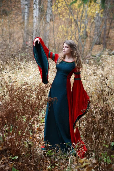 Portrait Young Woman Medieval Dress Autumnal Forest — Stock Photo, Image