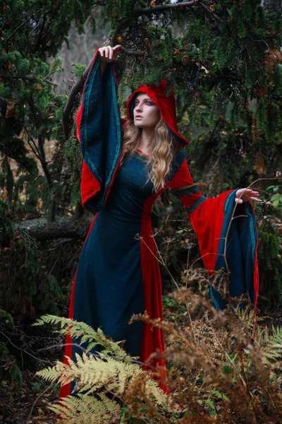 年轻妇女的画像在中世纪礼服与敞篷在秋天森林 — 图库照片