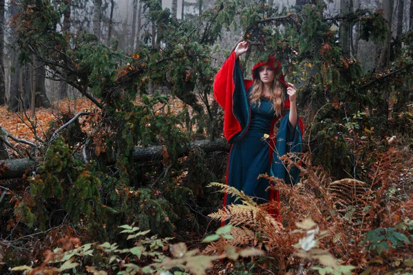 秋の森でフード付きの中世のドレスの若い女性の肖像画 — ストック写真