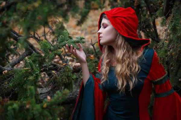 Πορτρέτο Της Νεαρής Γυναίκας Στο Μεσαιωνικό Φόρεμα Στο Φθινοπωρινό Δάσος — Φωτογραφία Αρχείου