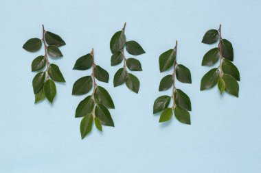 Dalları ve yaprakları mavi bir arka plan üzerinde çiçek süsleme.