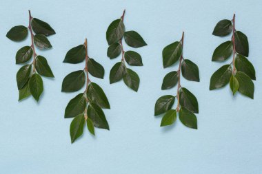 Dalları ve yaprakları mavi bir arka plan üzerinde çiçek süsleme.