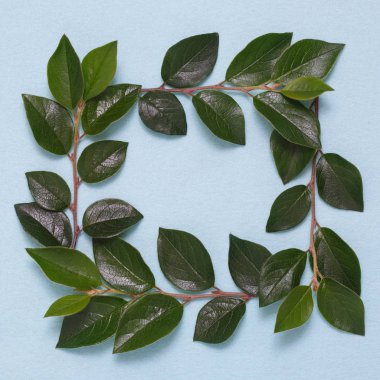 Dalları ve yaprakları mavi bir arka plan üzerinde çerçeve.