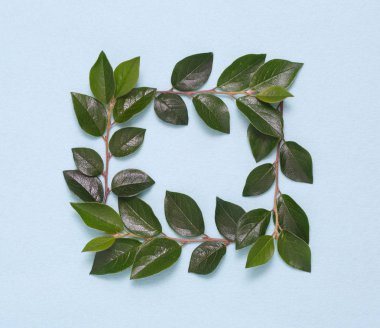 Dalları ve yaprakları mavi bir arka plan üzerinde çerçeve.