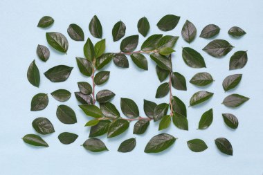 Dalları ve yaprakları mavi bir arka plan üzerinde çerçeve.