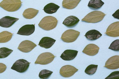 Dalları ve yaprakları mavi bir arka plan üzerinde çiçek süsleme.