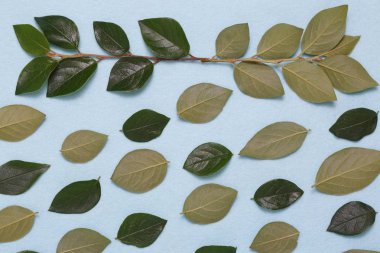 Dalları ve yaprakları mavi bir arka plan üzerinde çiçek süsleme.