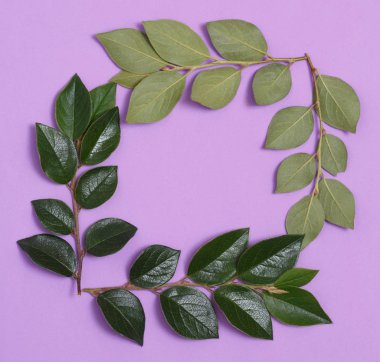 Dallar ve yapraklar mor bir arka plan üzerinde çerçeve yaptı.