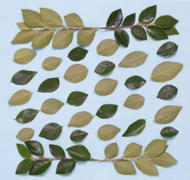 Dalları ve yaprakları mavi bir arka plan üzerinde çiçek süsleme.