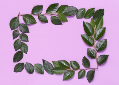 Dallar ve yapraklar mor bir arka plan üzerinde çerçeve yaptı.