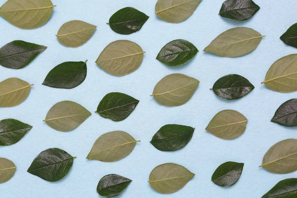 Dalları ve yaprakları mavi bir arka plan üzerinde çiçek süsleme.