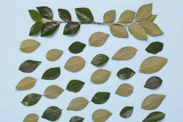 Dalları ve yaprakları mavi bir arka plan üzerinde çiçek süsleme.