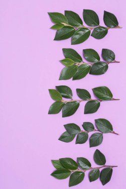 Dallar ve yapraklar mor bir arka plan üzerinde çiçek süsleme.