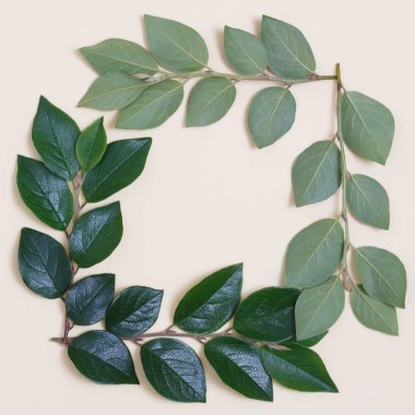 Bej renkli arka plan üzerinde yapraklarla kaplı bir yaratıcı bir üstten görünüm karedir.