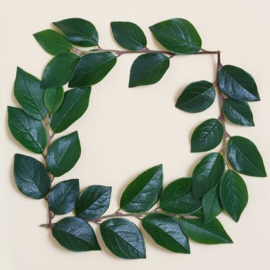 Bej renkli arka plan üzerinde yapraklarla kaplı bir yaratıcı bir üstten görünüm karedir.