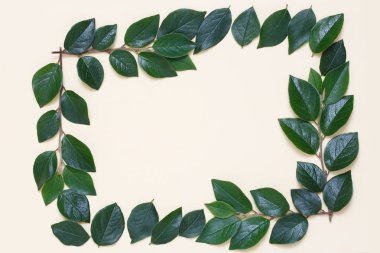 Bej renkli arka plan üzerinde yapraklarla kaplı bir yaratıcı bir üstten görünüm karedir.