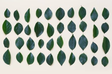 İle kaplı yaratıcı çiçek arka plan bej renkli bir arka plan üzerinde bırakır.