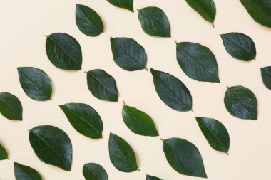 İle kaplı yaratıcı çiçek arka plan bej renkli bir arka plan üzerinde bırakır.