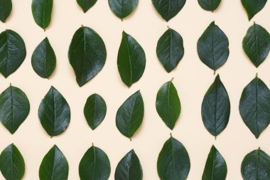 İle kaplı yaratıcı çiçek arka plan bej renkli bir arka plan üzerinde bırakır.