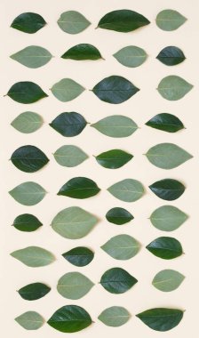 İle kaplı yaratıcı çiçek arka plan bej renkli bir arka plan üzerinde bırakır.