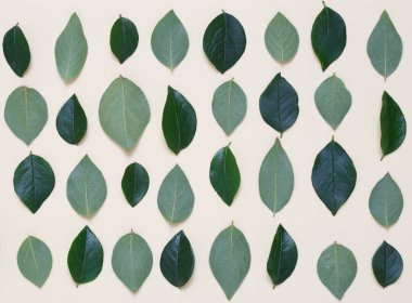 İle kaplı yaratıcı çiçek arka plan bej renkli bir arka plan üzerinde bırakır.