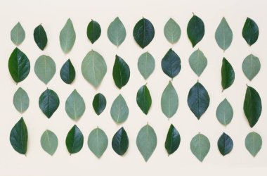 İle kaplı yaratıcı çiçek arka plan bej renkli bir arka plan üzerinde bırakır.