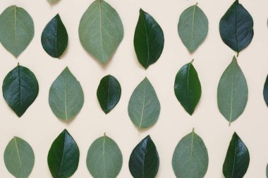 İle kaplı yaratıcı çiçek arka plan bej renkli bir arka plan üzerinde bırakır.