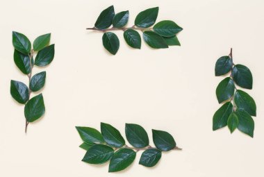 Bej renkli arka plan üzerinde yapraklarla kaplı bir yaratıcı bir üstten görünüm karedir.