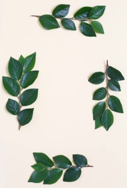 Bej renkli arka plan üzerinde yapraklarla kaplı bir yaratıcı bir üstten görünüm karedir.