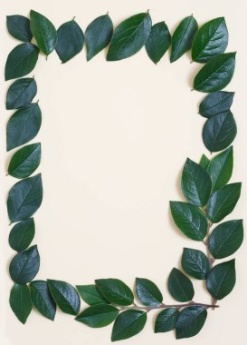 Bej renkli arka plan üzerinde yapraklarla kaplı bir yaratıcı bir üstten görünüm karedir.