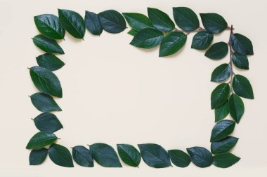 Bej renkli arka plan üzerinde yapraklarla kaplı bir yaratıcı bir üstten görünüm karedir.