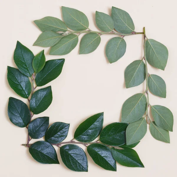 Bej renkli arka plan üzerinde yapraklarla kaplı bir yaratıcı bir üstten görünüm karedir.