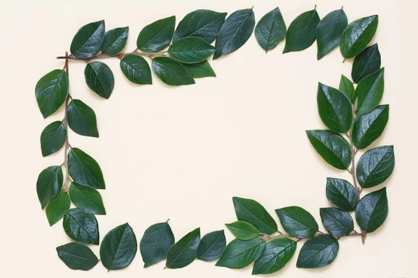 Bej renkli arka plan üzerinde yapraklarla kaplı bir yaratıcı bir üstten görünüm karedir.