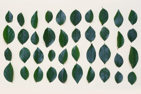 İle kaplı yaratıcı çiçek arka plan bej renkli bir arka plan üzerinde bırakır.