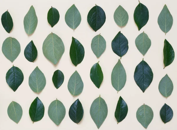 İle kaplı yaratıcı çiçek arka plan bej renkli bir arka plan üzerinde bırakır.