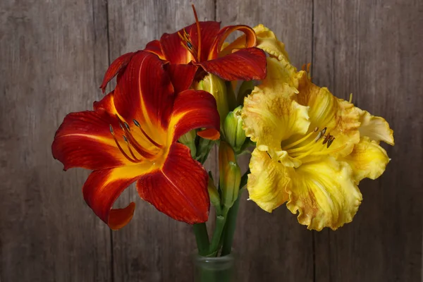 Ένα Μπουκέτο Λουλούδια Από Κόκκινα Και Κίτρινα Άνθη Ντέκρης Στο — Φωτογραφία Αρχείου