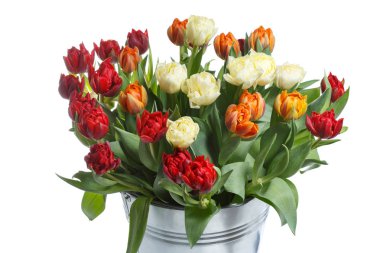 Beyaz arka planda izole bir kova renkli lale buket.